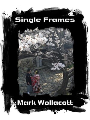 cover image of Single Frames